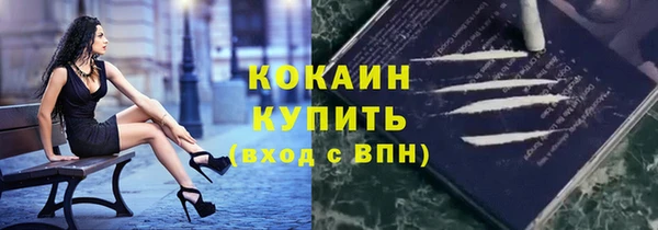 эйфоретик Арсеньев