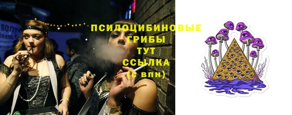 твердый Семёнов